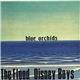 Blue Orchids - The Flood / Disney Boys